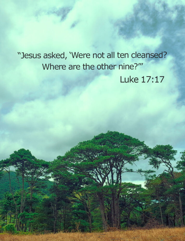 Only one leper returned to thank Jesus—gratitude as worship at His feet.
