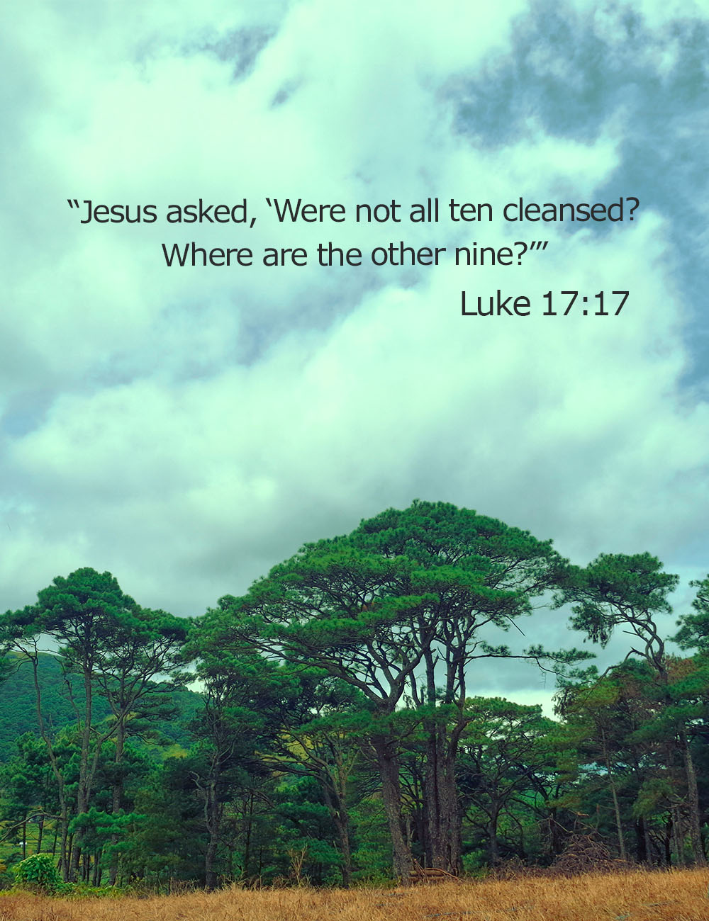 Only one leper returned to thank Jesus—gratitude as worship at His feet.