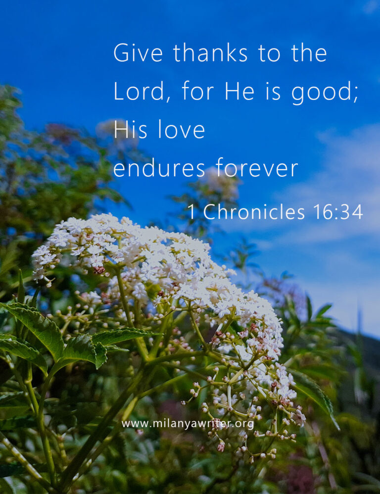 Bible verse 1 Chronicles 16:34 — Give thanks to the Lord, for He is good; His love endures forever — written on a background of blooming flowers and a clear blue sky.