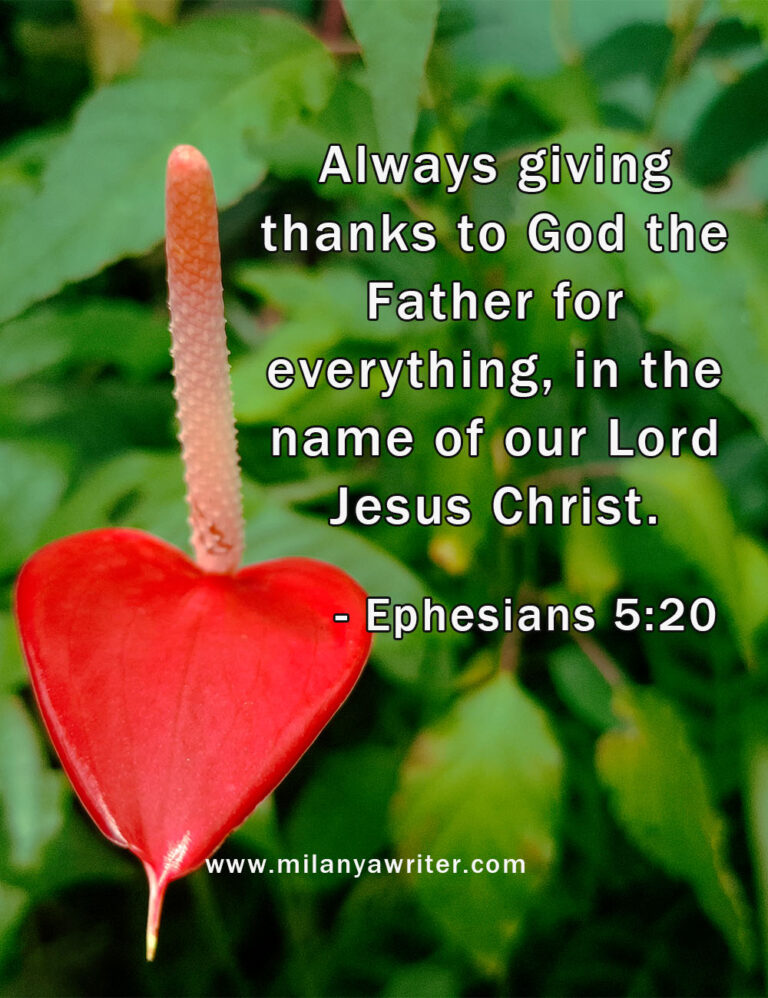 Bible verse over a background of a flower symbolizing peace, gratitude, and God’s creation.