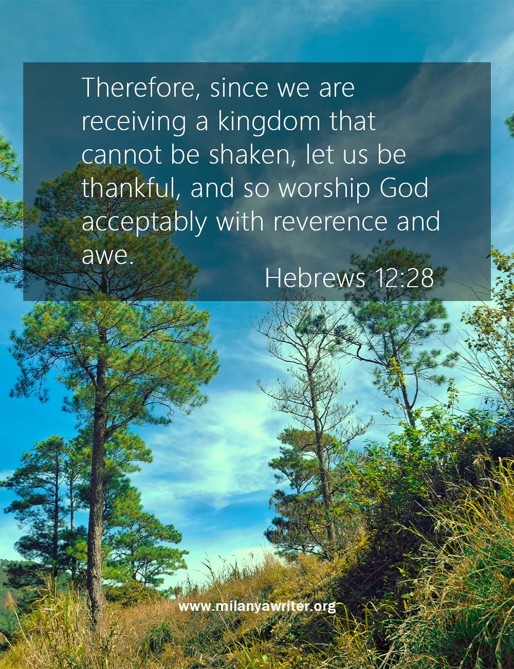 Bible verse over a background of a clear blue sky and green trees, symbolizing peace, gratitude, and God’s creation.