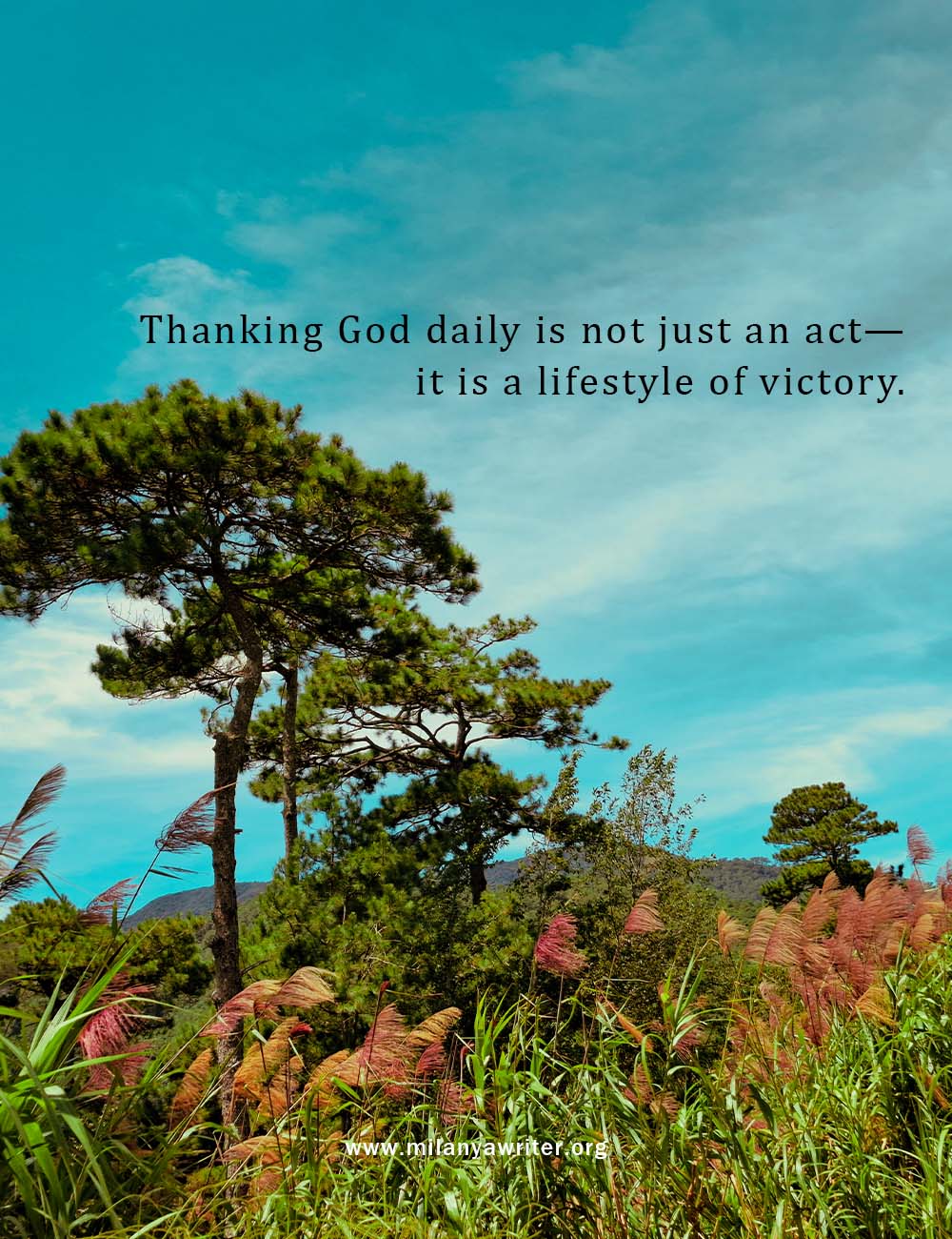 Gratitude To God quote placed over a beautiful trees, tropical plants with a clear blue sky, reflecting God’s beauty in nature.