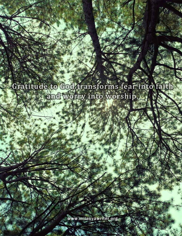 Green pine tree leaves background with overlay text ‘Gratitude to God Transforms Fear into Faith and Worry into Worship