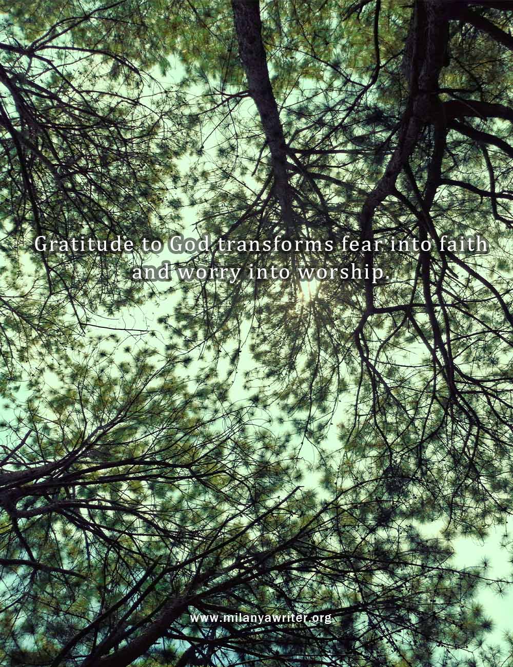 Green pine tree leaves background with overlay text ‘Gratitude to God Transforms Fear into Faith and Worry into Worship