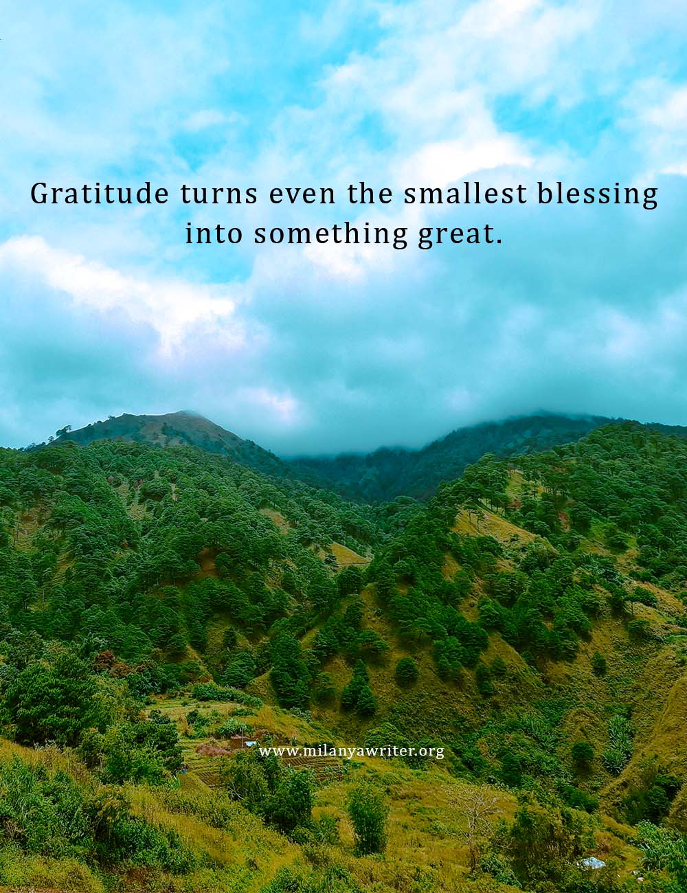 Gratitude turns even the smallest blessing into something great – Christian gratitude quote with mountain and pine trees background.